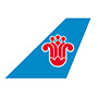 中国南方航空集团公司